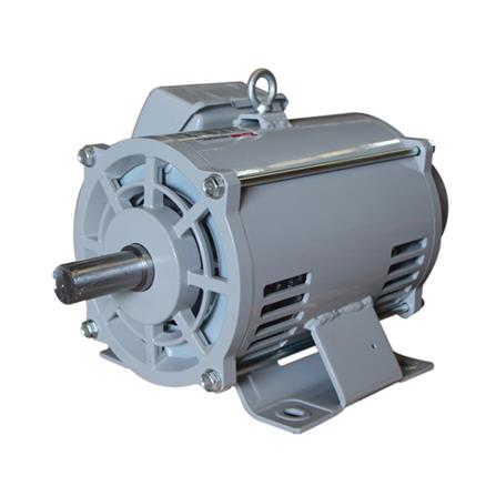 มอเตอร์ MARTON EXTRA 3 HP 2 สาย_0