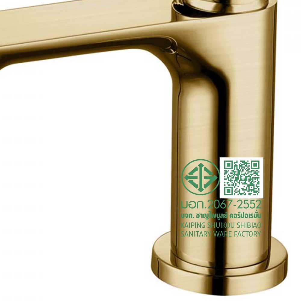 ก๊อกอ่างล้างหน้าเดี่ยว RASLAND DB-90401G สีทอง