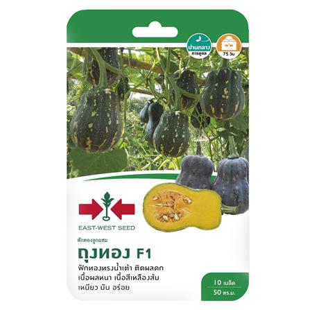 ฟักทอง F1 ถุงทอง ศรแดง