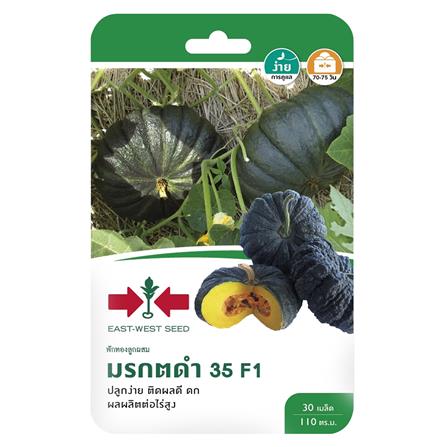 ฟักทองลูกผสม F1 มรกตดำ 35 ศรแดง