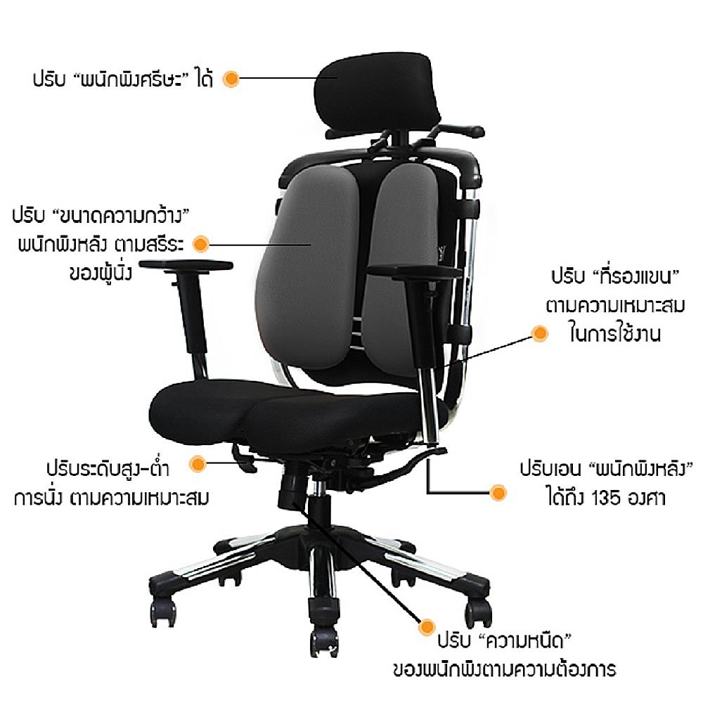 เก้าอี้เพื่อสุขภาพ HARA CHAIR NIETZSCHE 2 สีเทา