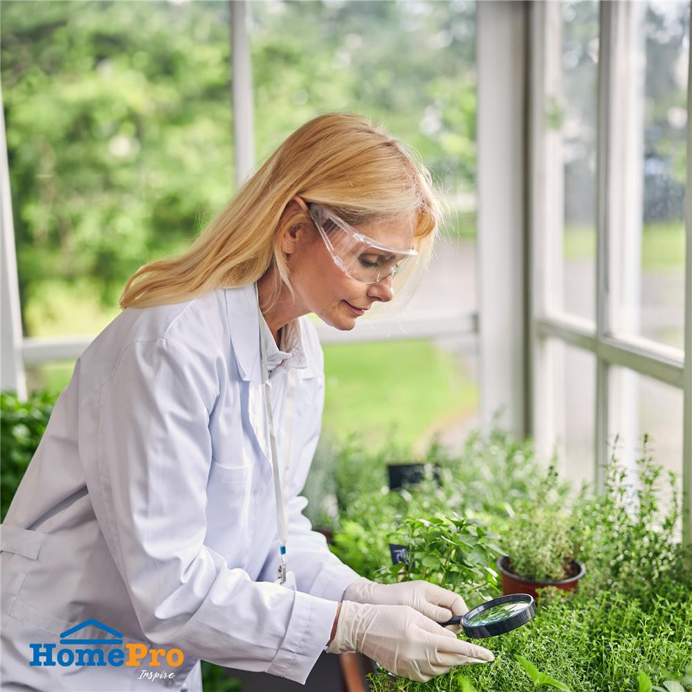 แว่นตากันสะเก็ด DEXZON YJ817 สีใส