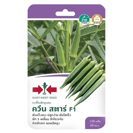 เมล็ดพันธุ์กระเจี๊ยบเขียว F1 ควีนสตาร์ ศรแดง_0