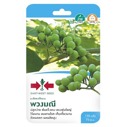 เมล็ดพันธุ์มะเขือพวงไร้หนาม พวงมณี ศรแดง