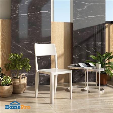 เก้าอี้พลาสติก PIONEER PNG9169 สีเบจ_2