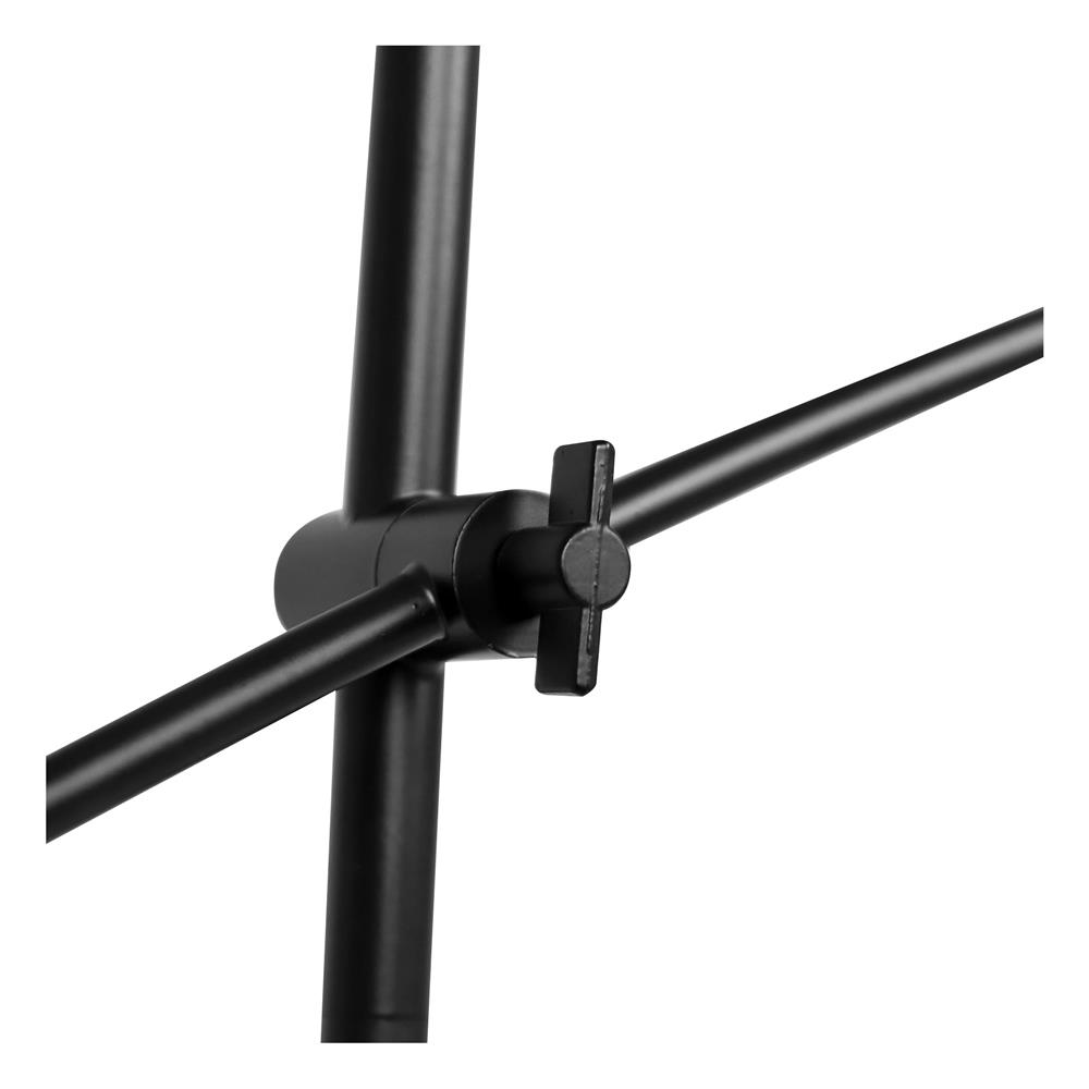 ไฟตั้งพื้น CARINI FL-020129 สีดำ