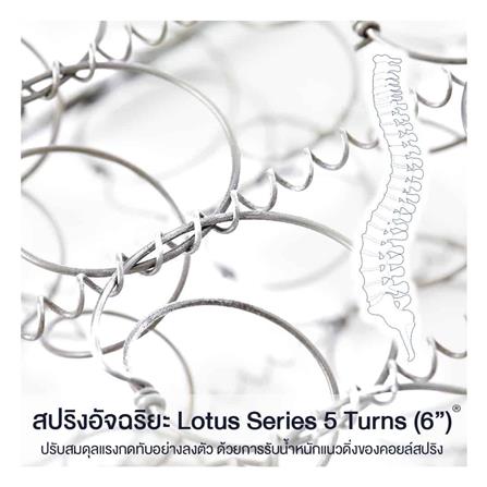 ที่นอน 5 ฟุต LOTUS WESTMAN (พร้อมชุดเครื่องนอน 11 ชิ้น)_4