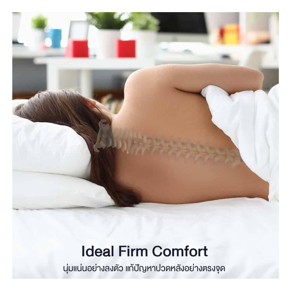 ที่นอน 3.5 ฟุต LOTUS WESTMAN (พร้อมชุดเครื่องนอน 7 ชิ้น)