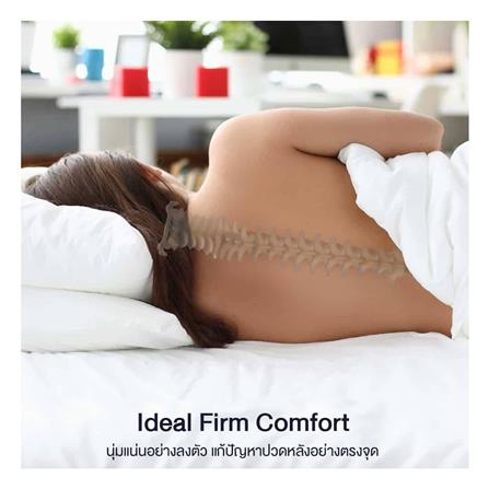 ที่นอน 3.5 ฟุต LOTUS WESTMAN (พร้อมชุดเครื่องนอน 7 ชิ้น)_7