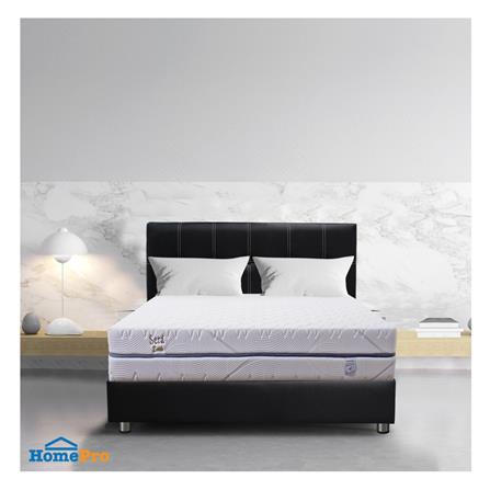 ที่นอน 3.5 ฟุต SERA GRANDE ZURICH_4