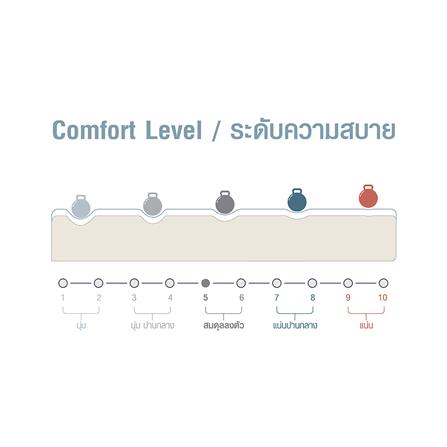 ที่นอน 3.5 ฟุต SERA GRANDE ZURICH_6