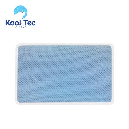 หมอนสุขภาพ เมมโมรี่โฟม KOOLTEC STANDARD 66x42 ซม. สีขาว
