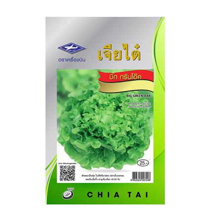 เมล็ดพันธุ์บิ๊กกรีนโอ๊ค ตราเจียไต๋