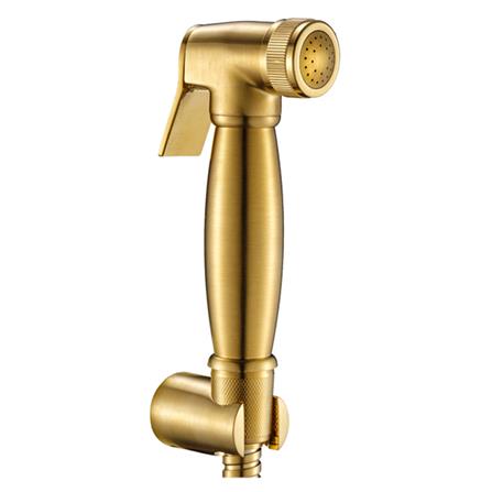 สายฉีดชำระครบชุด RASLAND RA 101021-GOLD