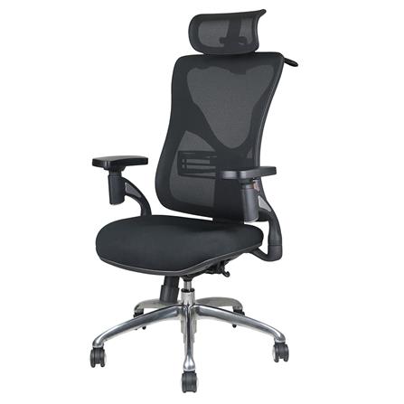 เก้าอี้เพื่อสุขภาพ ERGOTREND PORTSEA NET สีดำ_1