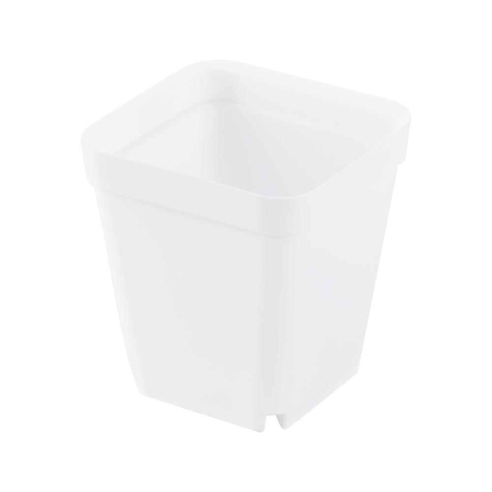 กระถางกระบองเพชร ชัยโย 10 ใบ สีขาว