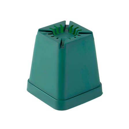 กระถางกระบองเพชร ชัยโย 10 ใบ สีเขียว_1