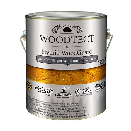 สีย้อมไม้ WOODTECT HYBRID WOODGUARD WW-5501 สีใส ด้าน 1 แกลลอน_0