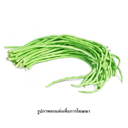 เมล็ดพันธุ์ถั่วฝักยาว กรีน การ์เด้น_1