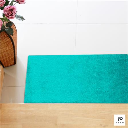 พรม PRAW ENTRANCE 50x75 ซม. สีเขียว/TEAL_3
