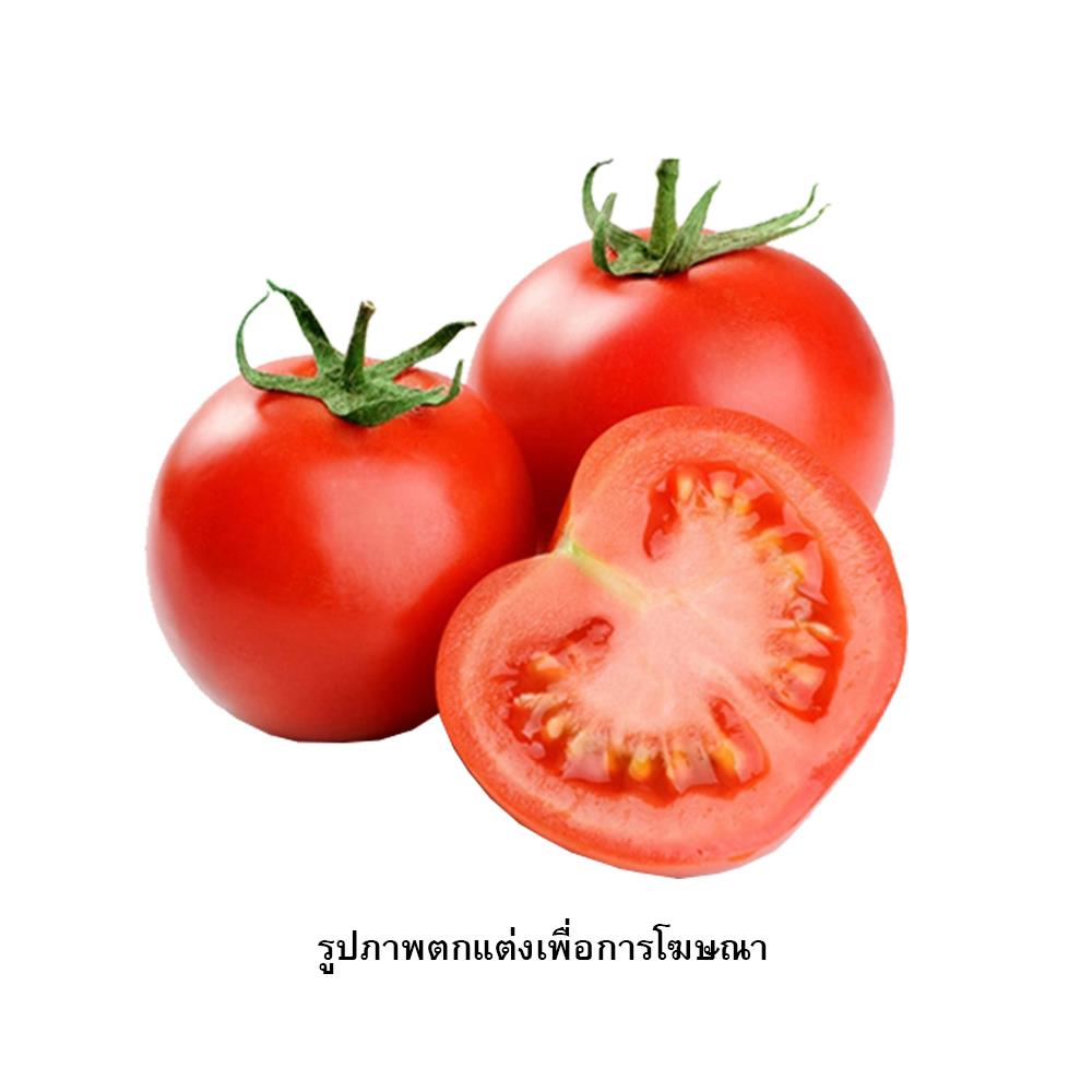 เมล็ดพันธุ์มะเขือเทศ กรีน การ์เด้น
