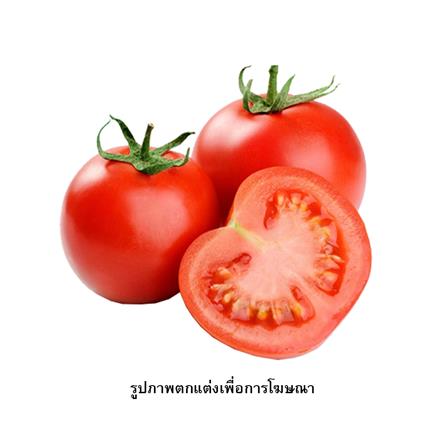 เมล็ดพันธุ์มะเขือเทศ กรีน การ์เด้น_1
