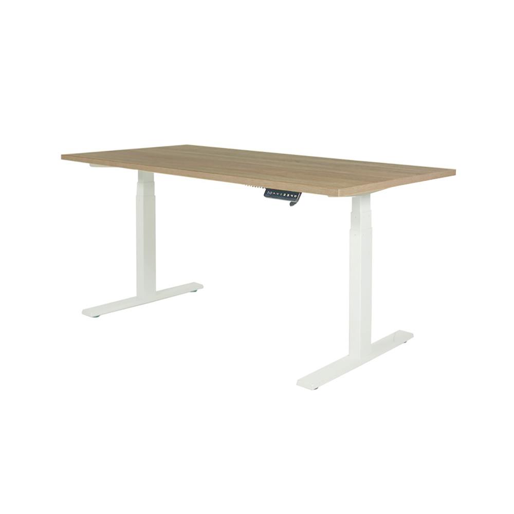 โต๊ะทำงานปรับระดับ ERGOTREND SIT 2 STAND Gen2A 120 ซม. สี SONOMA/ขาว