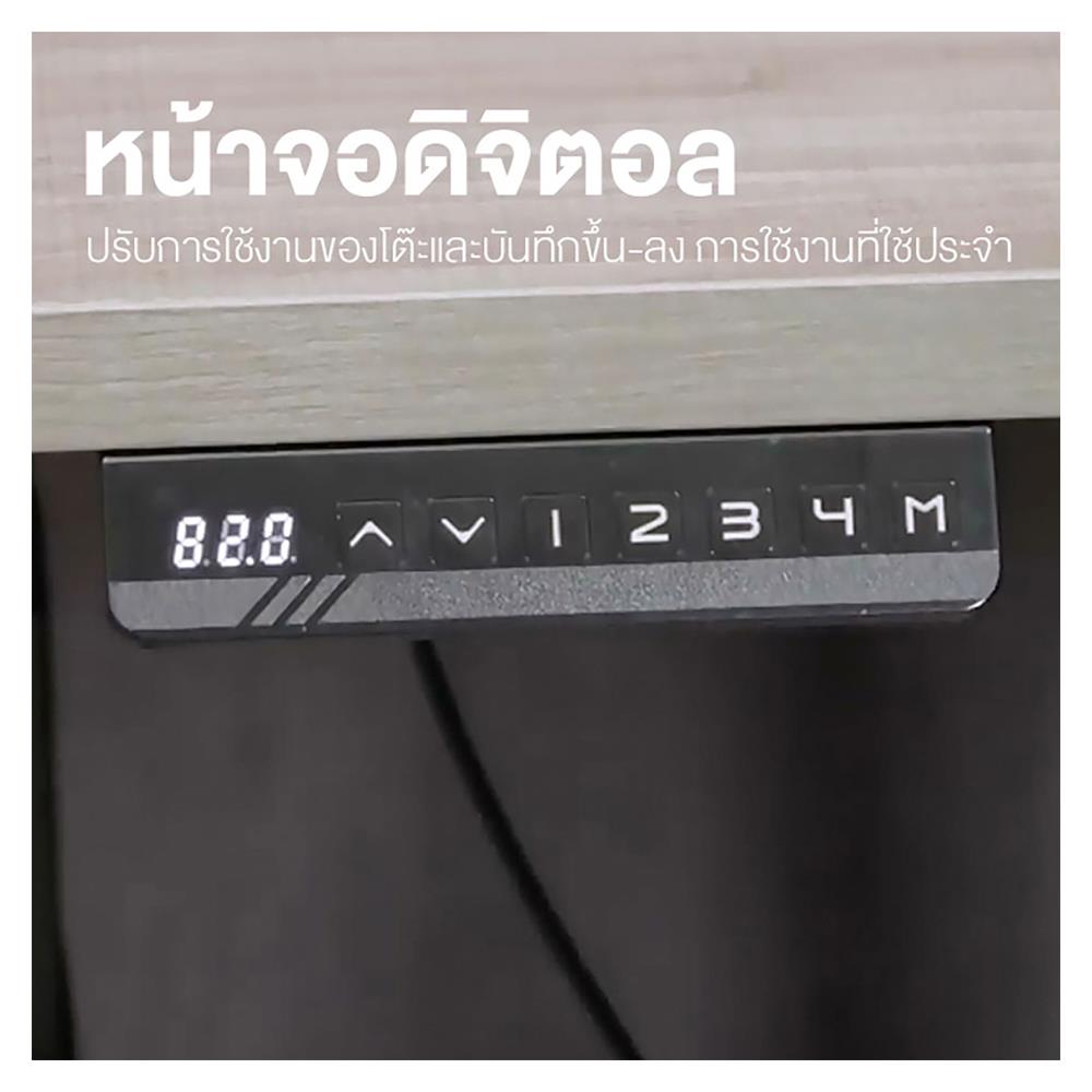 โต๊ะทำงานปรับระดับ ERGOTREND SIT 2 STAND Gen2A 120 ซม. สี SONOMA/ขาว