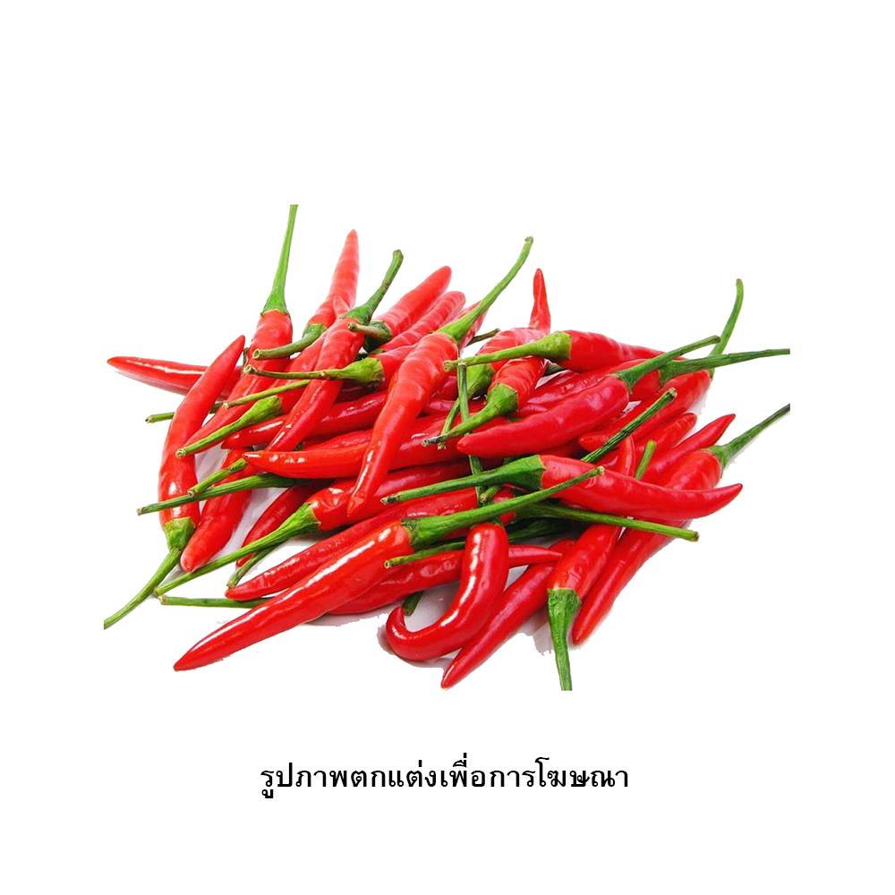 เมล็ดพันธุ์พริกชี้ฟ้า กรีน การ์เด้น