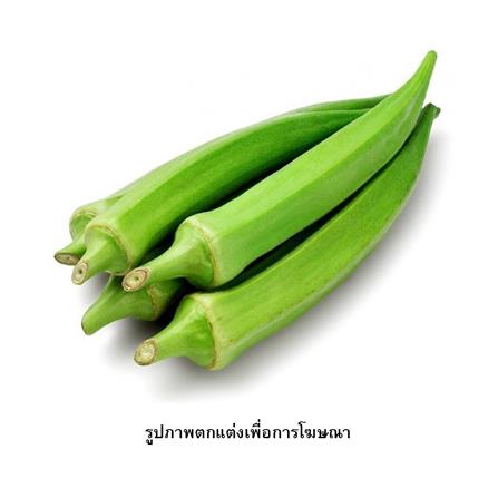 เมล็ดพันธุ์กระเจี๊ยบเขียว กรีน การ์เด้น_1