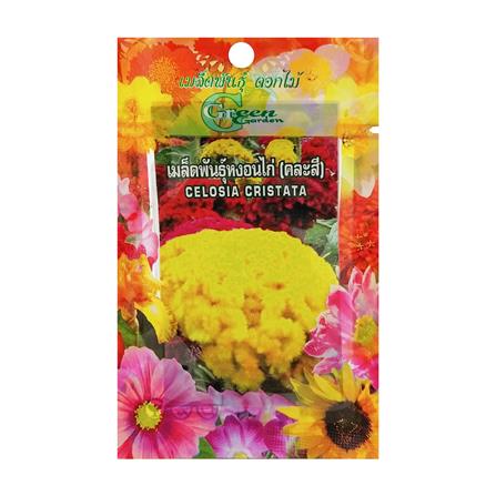 เมล็ดพันธุ์หงอนไก่ กรีน การ์เด้น