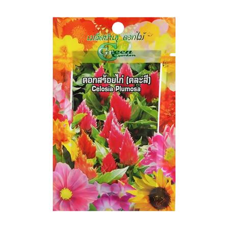 เมล็ดพันธุ์ดอกสร้อยไก่ กรีน การ์เด้น_0