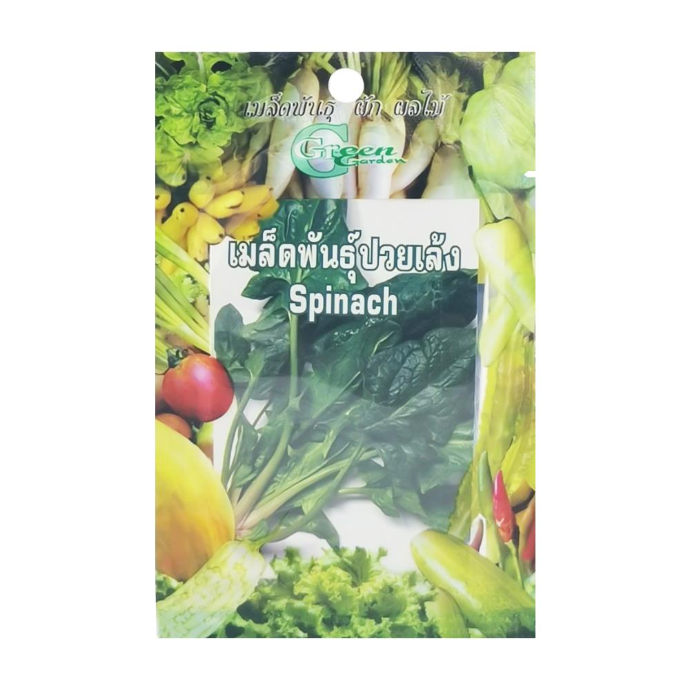 เมล็ดพันธุ์ปวยเล้ง กรีน การ์เด้น