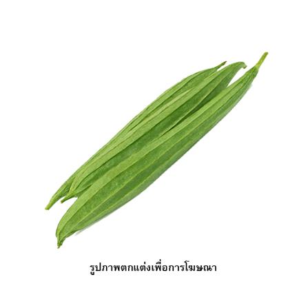 เมล็ดพันธุ์บวบ กรีน การ์เด้น_1