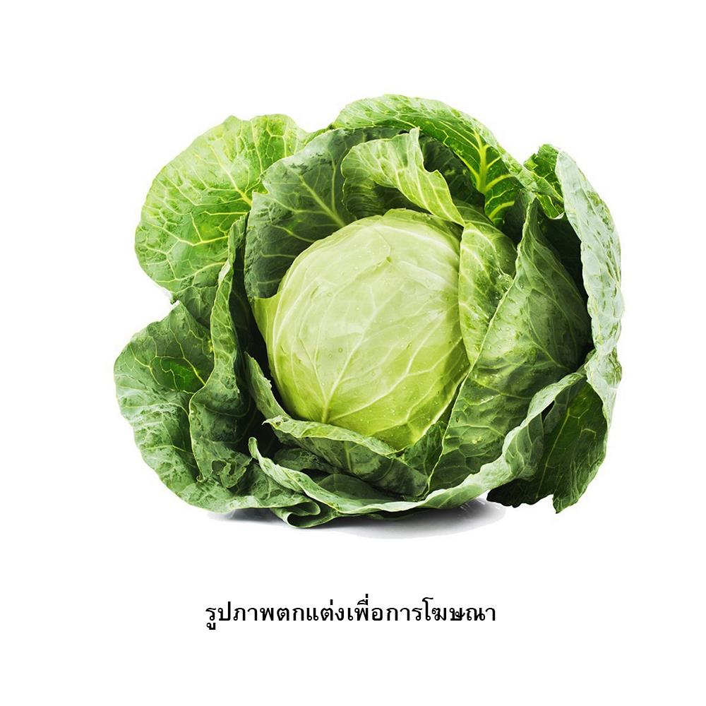 เมล็ดพันธุ์กะหล่ำปลี กรีน การ์เด้น