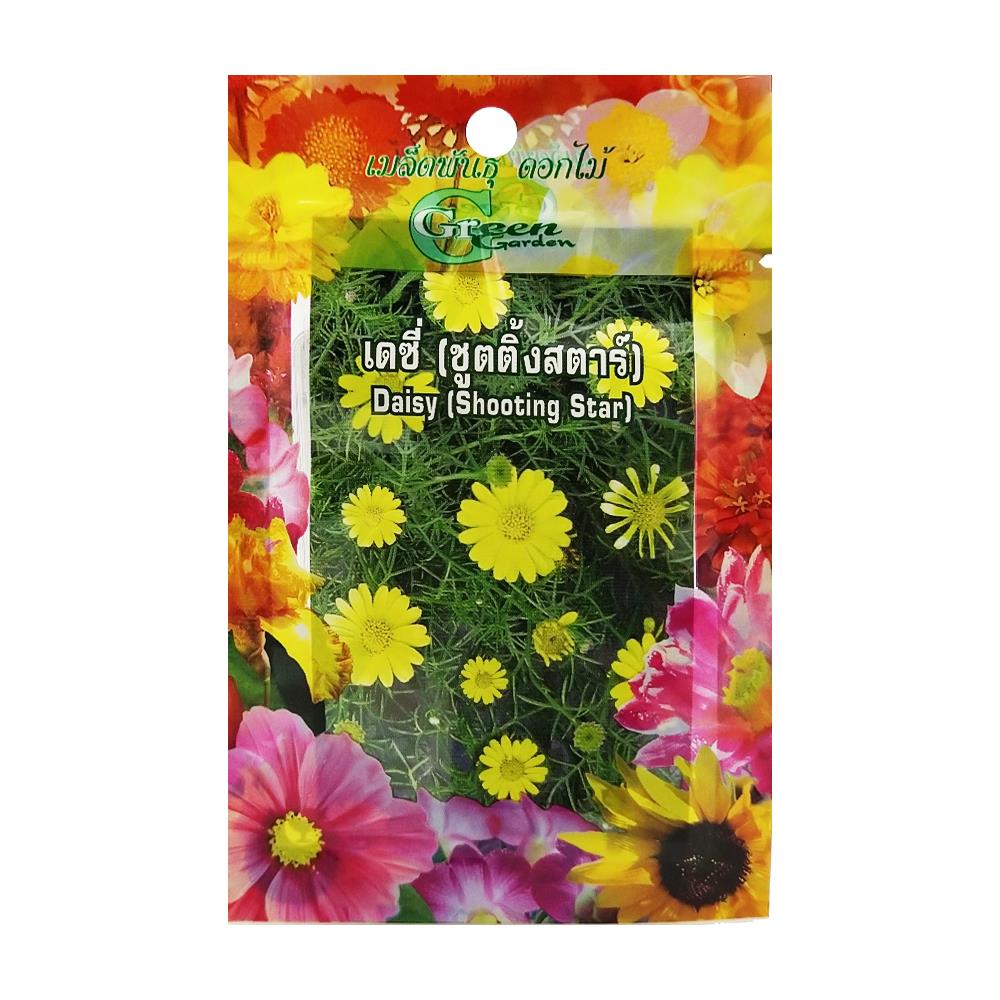 เมล็ดพันธุ์ดอกเดซี่ กรีน การ์เด้น