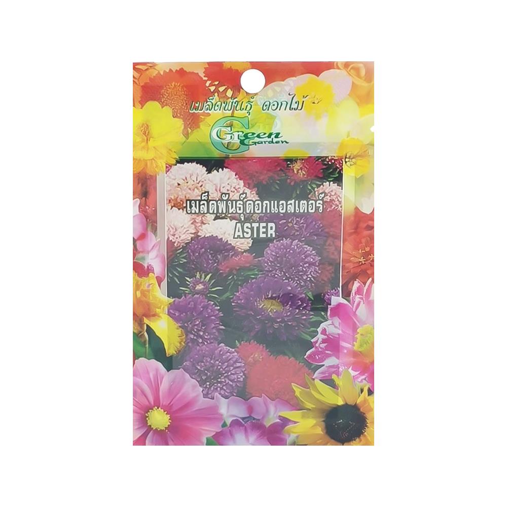 เมล็ดพันธุ์ดอกแอสเตอร์ กรีน การ์เด้น