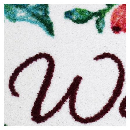 พรม PRAW BOUQUETS 50X75 ซม. สีชมพู_2