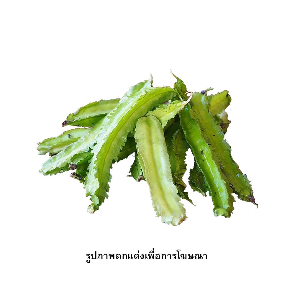 เมล็ดพันธุ์ถั่วพู กรีน การ์เด้น