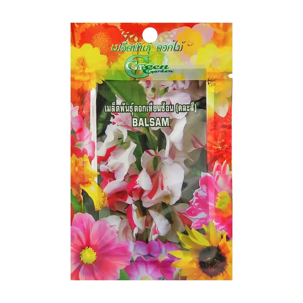 เมล็ดพันธุ์ดอกเทียนซ้อน กรีน การ์เด้น