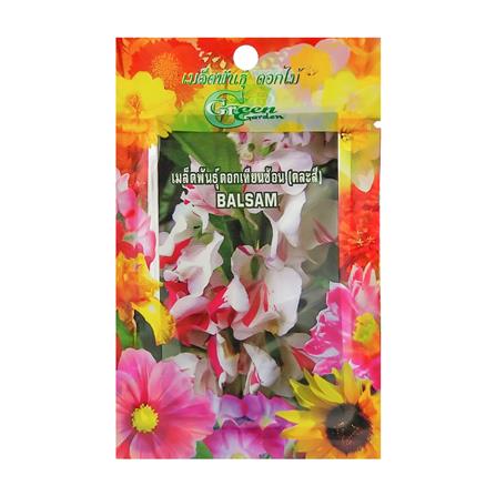 เมล็ดพันธุ์ดอกเทียนซ้อน กรีน การ์เด้น