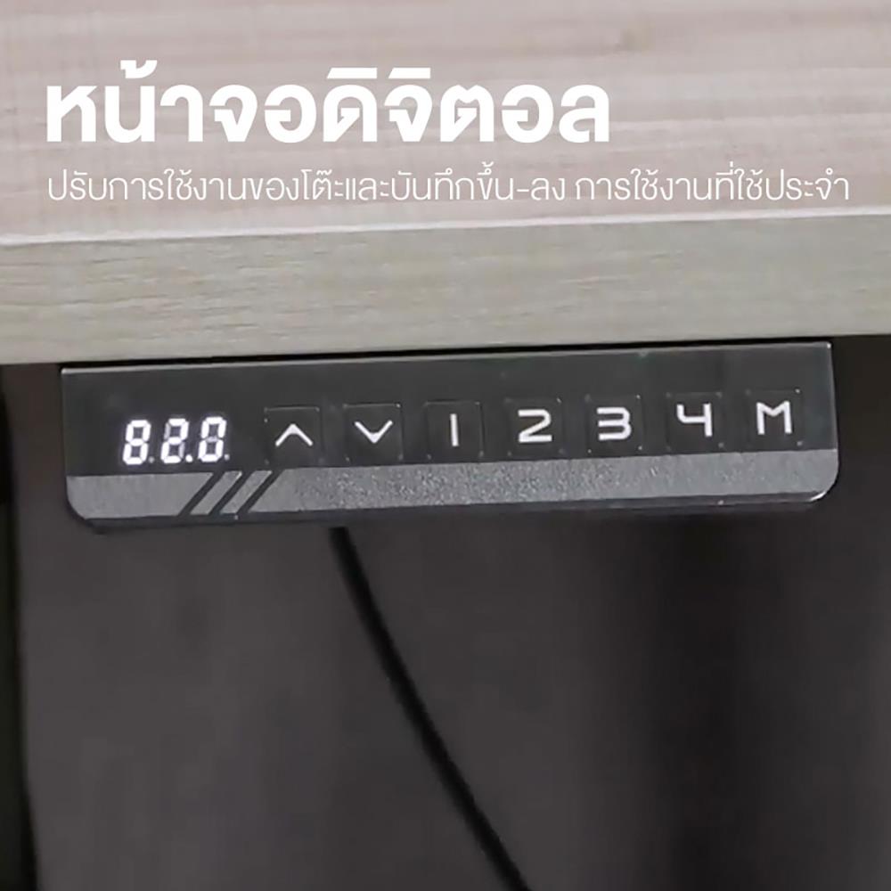 โต๊ะทำงานปรับระดับ ERGOTREND SIT 2 STAND Gen2A 150 ซม. สี CAPUCINO/ขาว