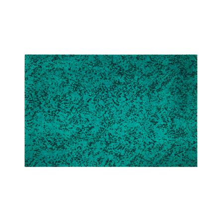 พรม PRAW OVP 50X75 ซม. สีเขียวเข้ม