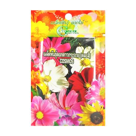 เมล็ดพันธุ์ดอกดาวกระจาย กรีน การ์เด้น