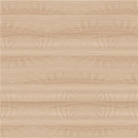 โต๊ะทำงานปรับระดับ ERGOTREND SIT 2 STAND Gen2A 120 ซม. สี SHIMO ASH/ขาว_2