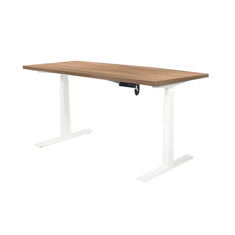 โต๊ะทำงานปรับระดับ ERGOTREND SIT 2 STAND Gen2A 120 ซม. สี CAPUCINO/ขาว