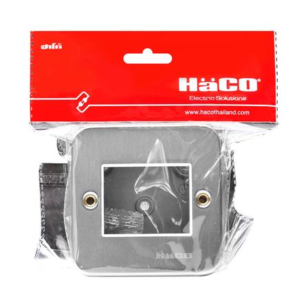 ชุดหน้ากาก 2 ช่อง HACO M1002+HM831 สีเงิน_3