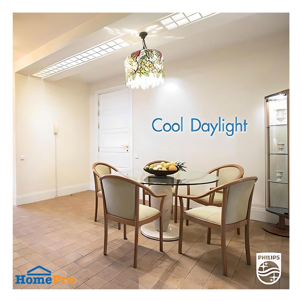 ชุดรางนีออน LED PHILIPS T8 BN015DE 9 วัตต์ DAYLIGHT