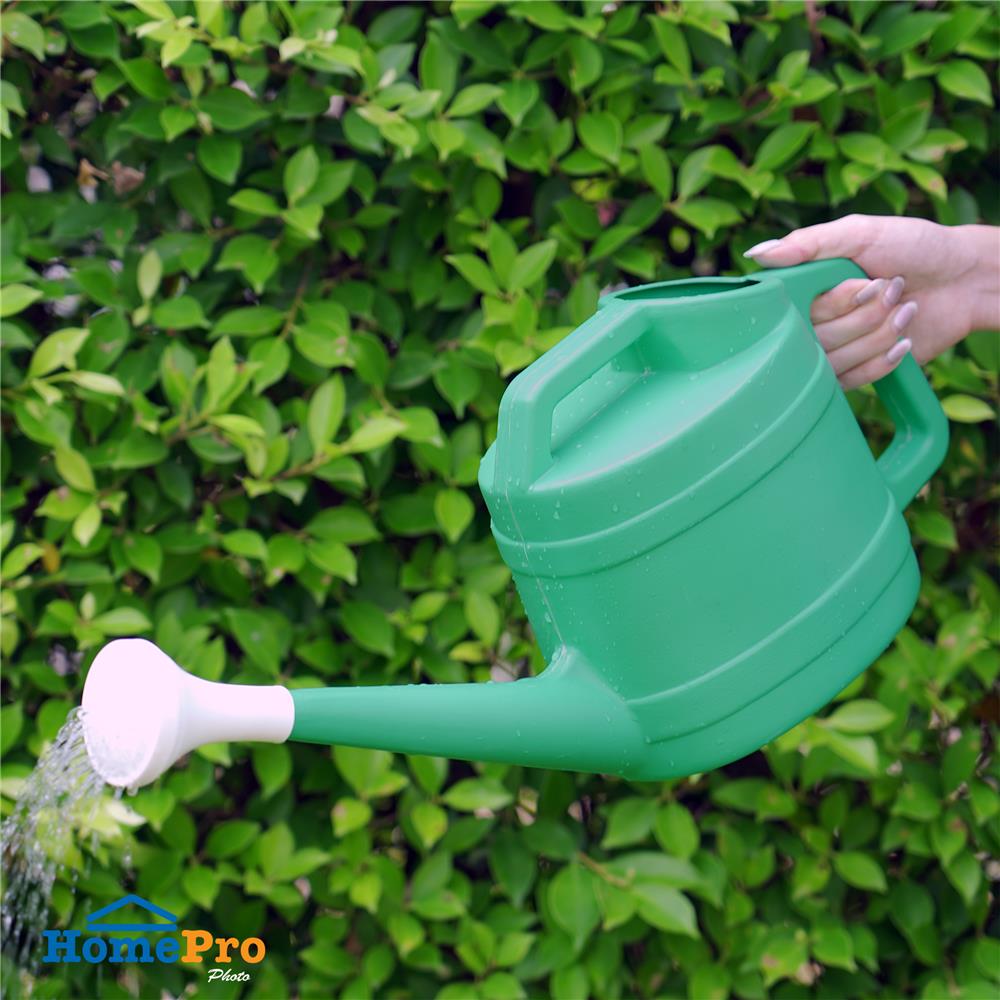 บัวรดน้ำหลุยส์ SPRING 3 ลิตร สีเขียว