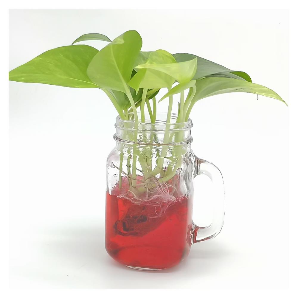 ดินวิทยาศาสตร์ GREEN GARDEN สีชมพู